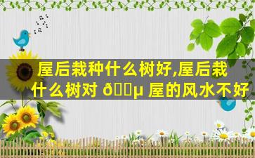 屋后栽种什么树好,屋后栽什么树对 🌵 屋的风水不好